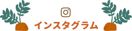 インスタグラム
