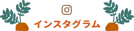 インスタグラム